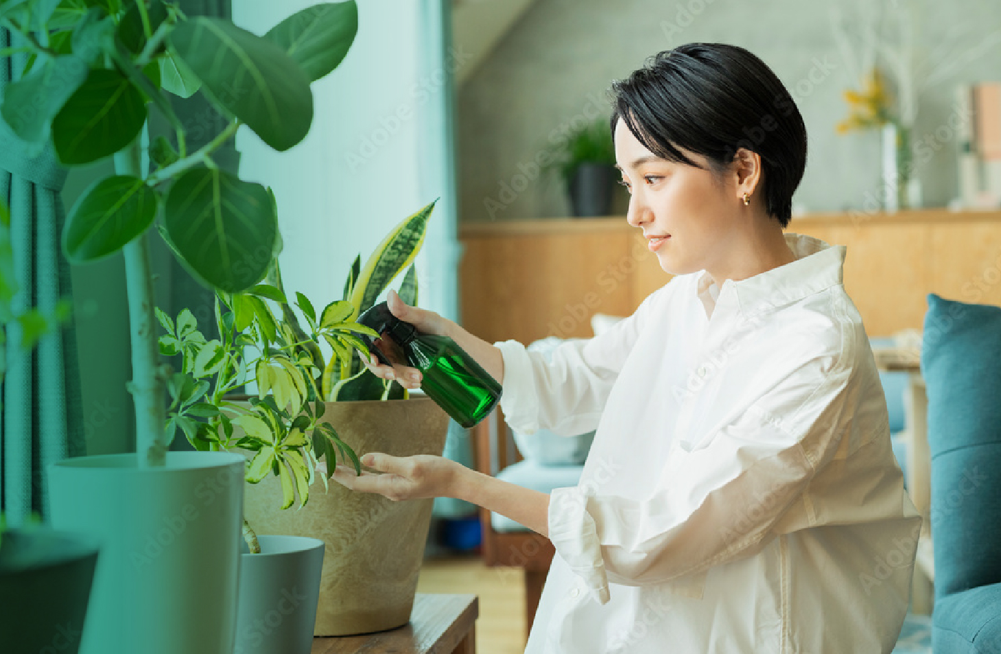 画像：トップページ