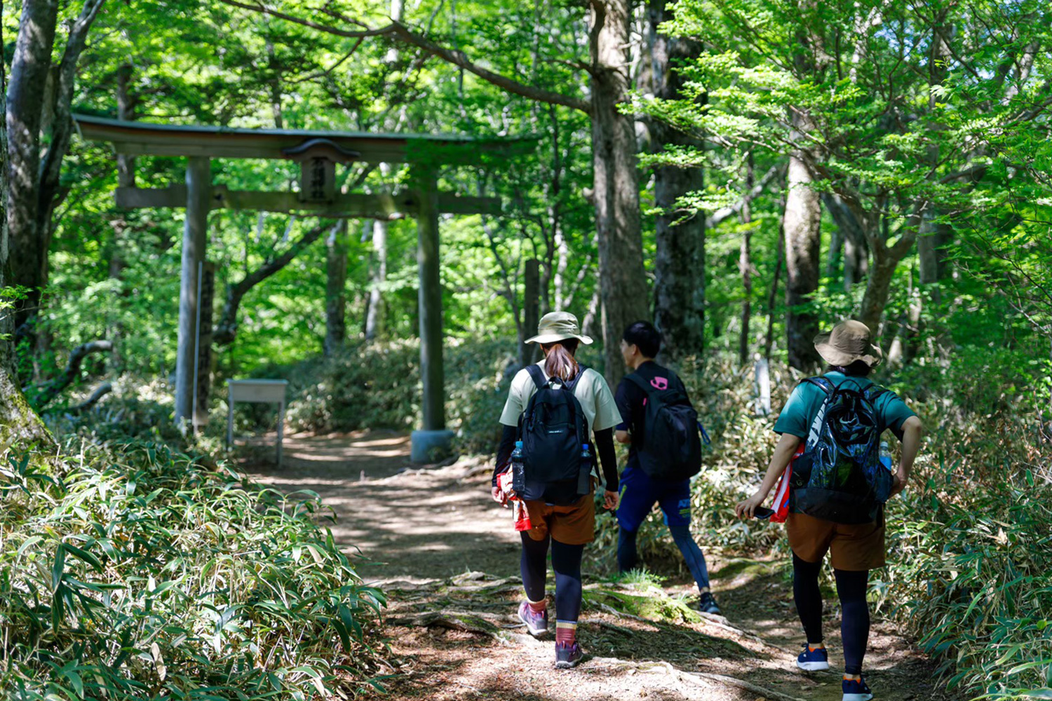 画像：トップページ